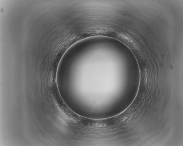 X0000060740546200511171100