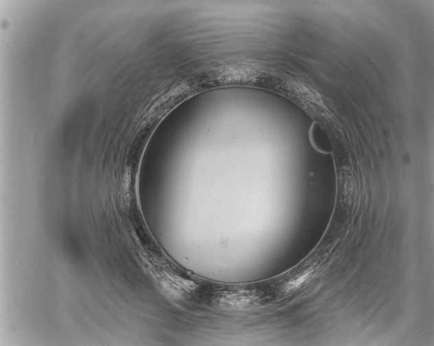 X0000060740550200511171100