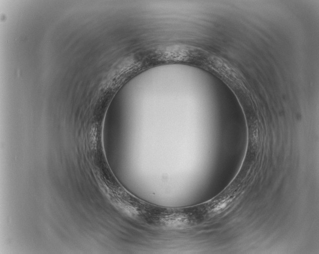 X0000060740551200511171100