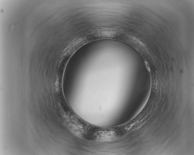 X0000060740552200511171100