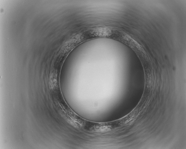 X0000060740553200511171100