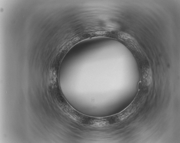 X0000060740555200511171100