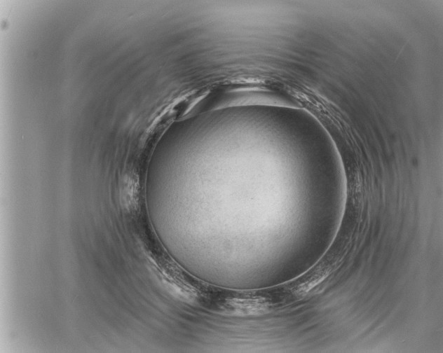 X0000060740556200511171100