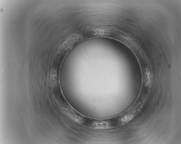 X0000060740557200511171100