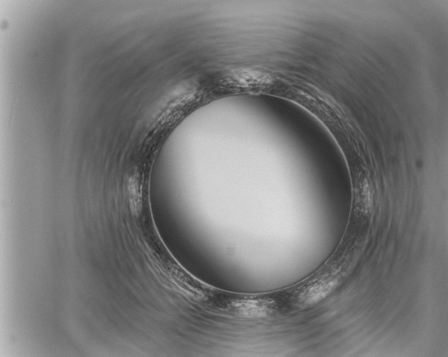 X0000060740558200511171100