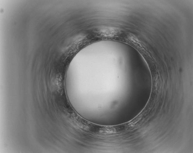 X0000060740559200511171100