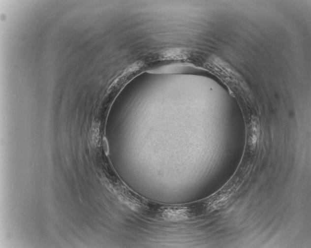 X0000060740560200511171100