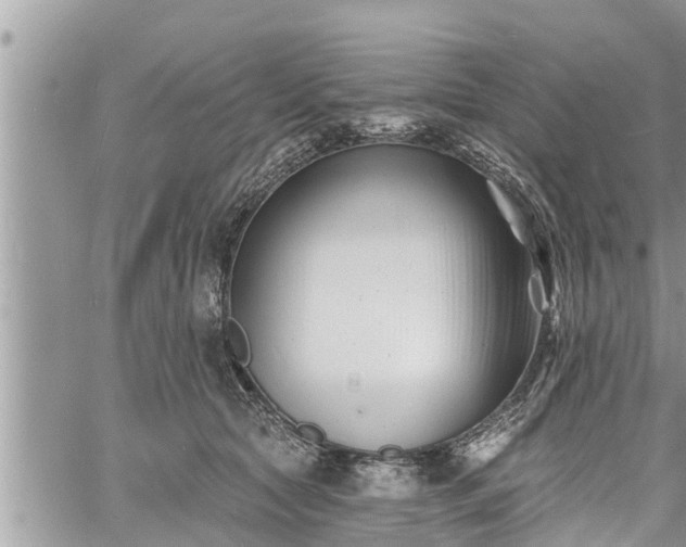 X0000060740561200511171100