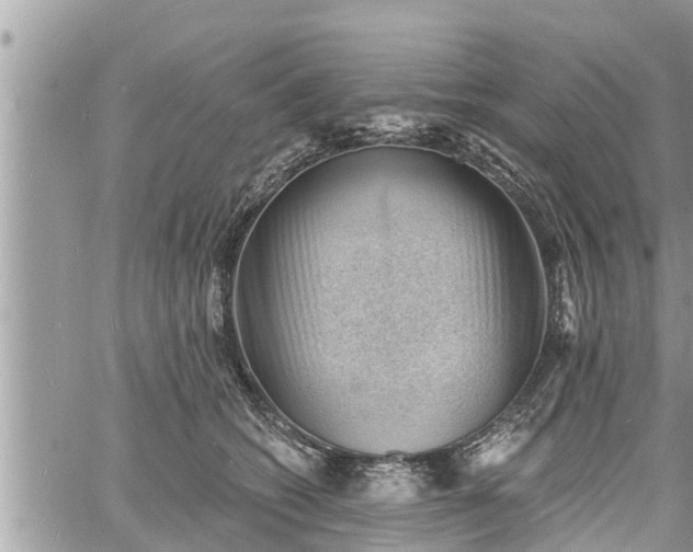 X0000060740562200511171100