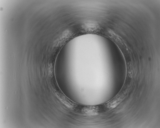 X0000060740563200511171100