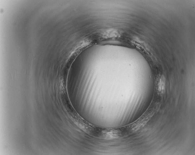 X0000060740564200511171100