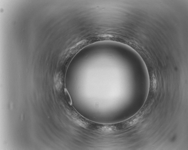 X0000060740566200511171100