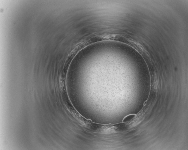 X0000060740569200511171100