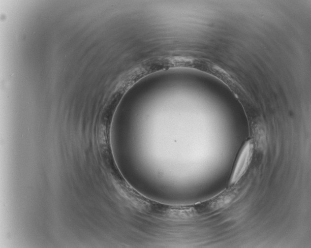 X0000060740571200511171100