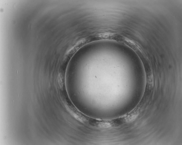 X0000060740572200511171100