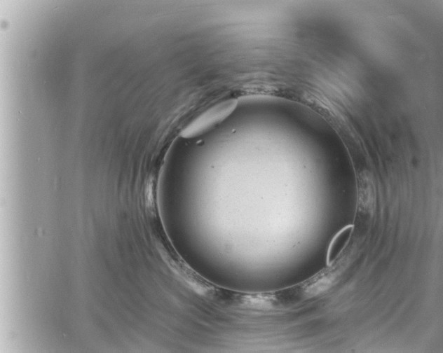 X0000060740573200511171100