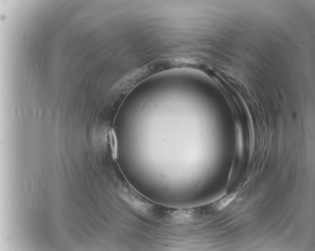 X0000060740574200511171100