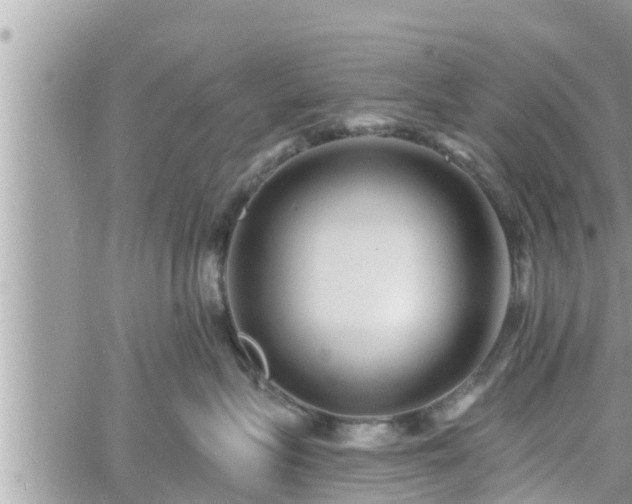 X0000060740575200511171100