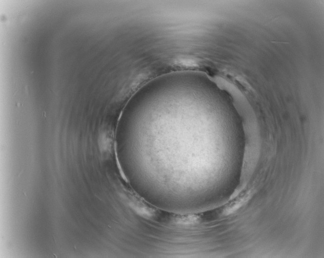 X0000060740576200511171100