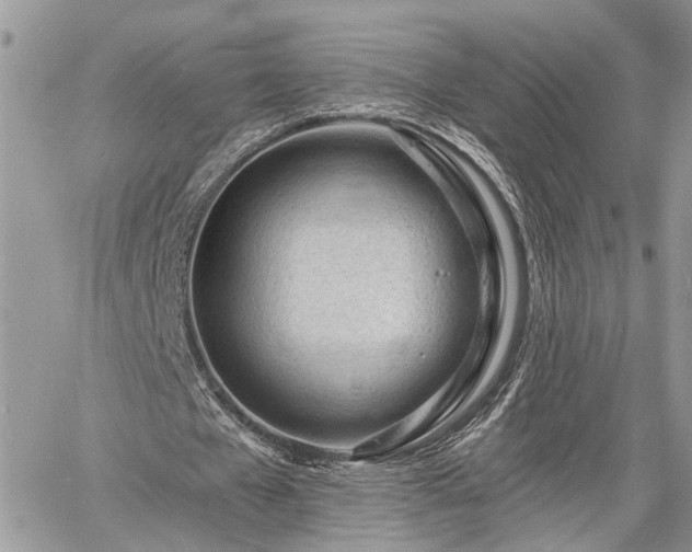 X0000060740577200511171059