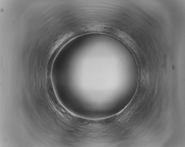 X0000060740578200511171059