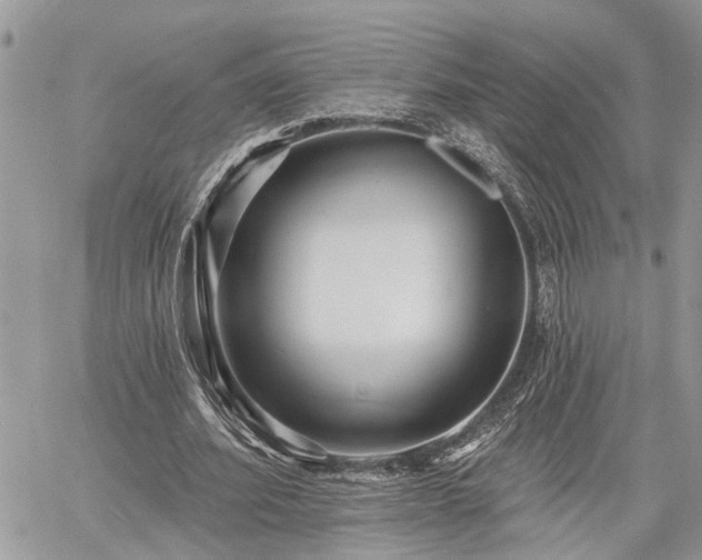 X0000060740580200511171059