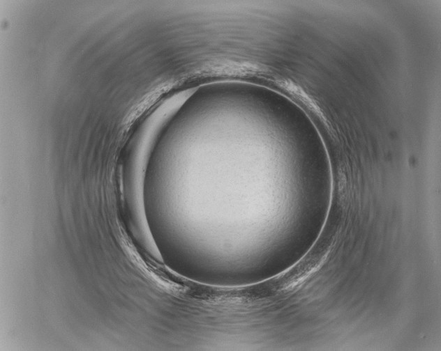 X0000060740581200511171059