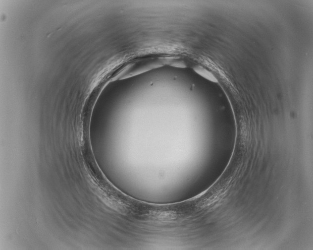 X0000060740582200511171059