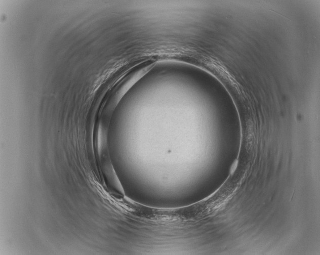 X0000060740585200511171059