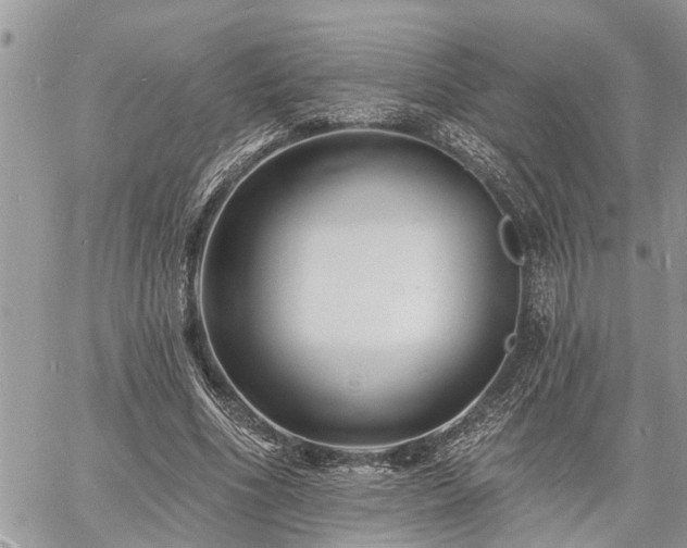 X0000060740586200511171059