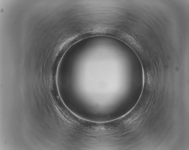 X0000060740588200511171059