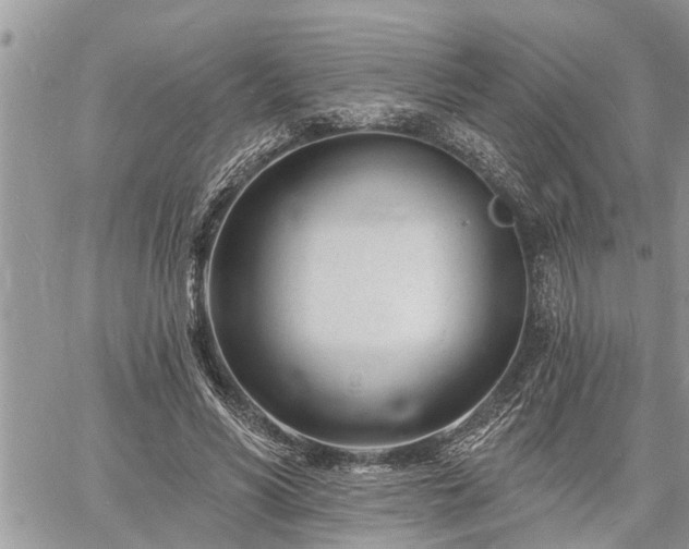 X0000060740590200511171059