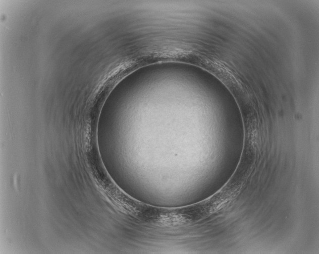 X0000060740591200511171059