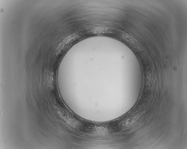 X0000060740592200511171059