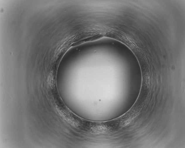 X0000060740594200511171059