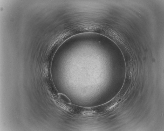 X0000060740595200511171059