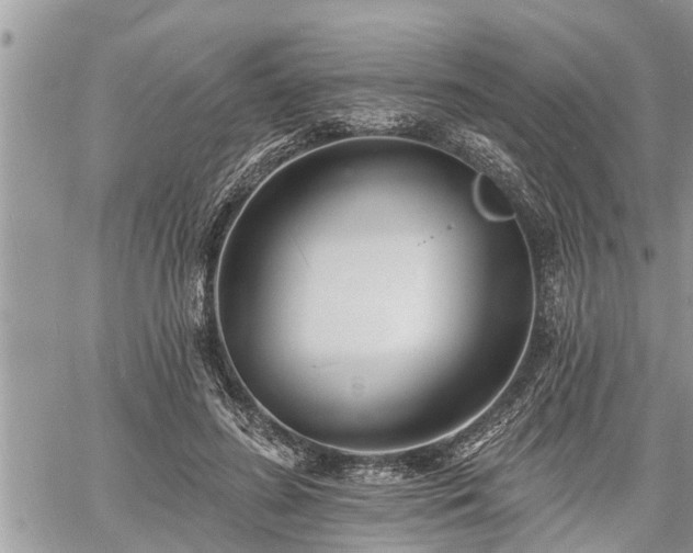 X0000060740596200511171059