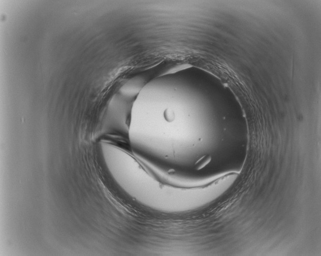 X0000060740598200511171059