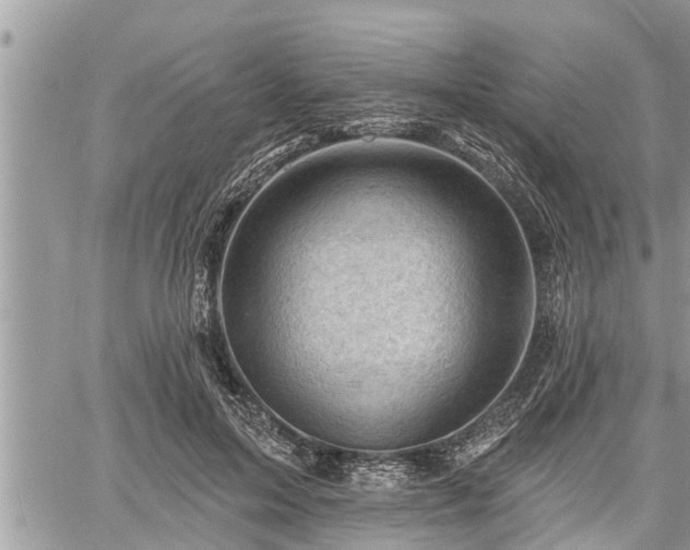 X0000060740599200511171059