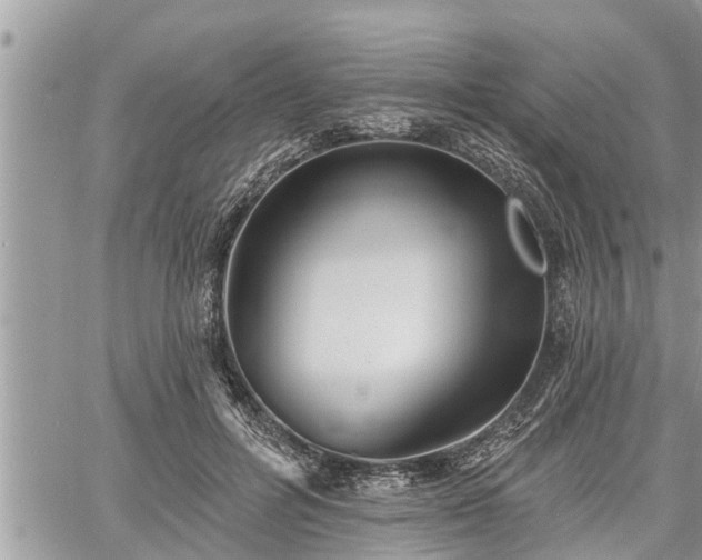 X0000060740600200511171059