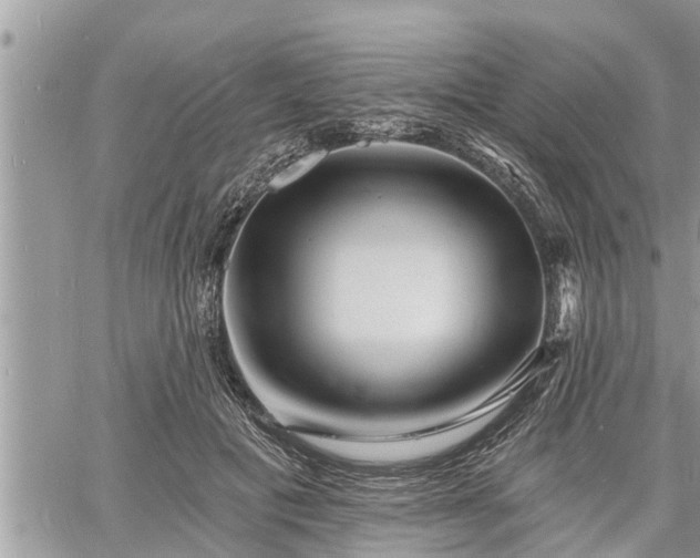 X0000060740601200511171059