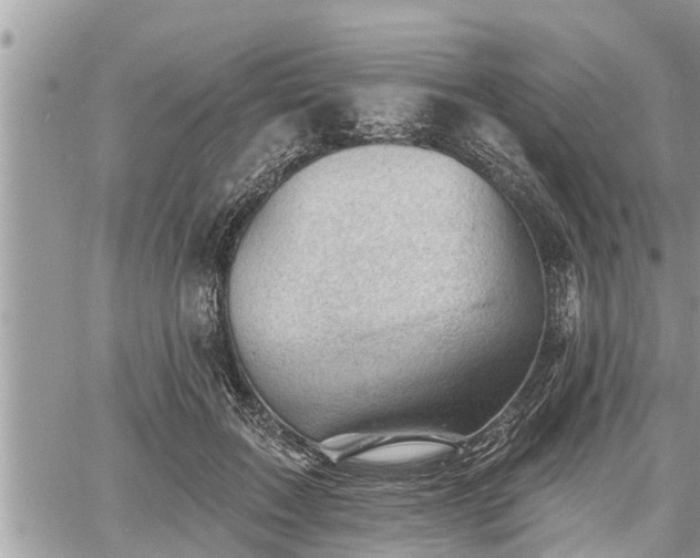 X0000060740603200511171059