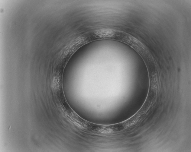 X0000060740604200511171059