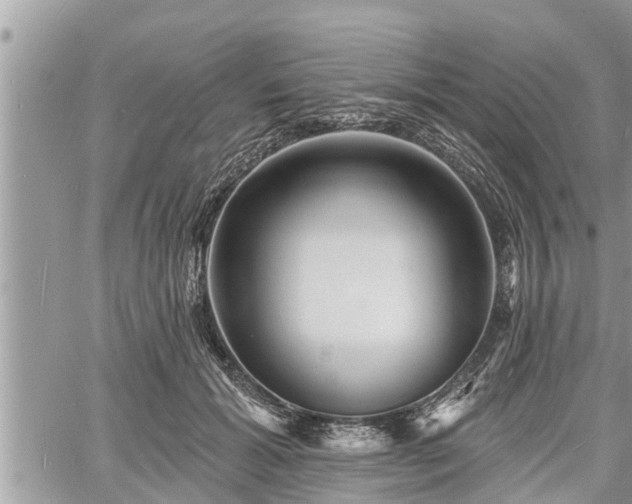 X0000060740605200511171059