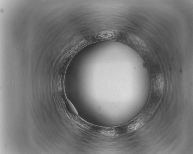 X0000060740606200511171059