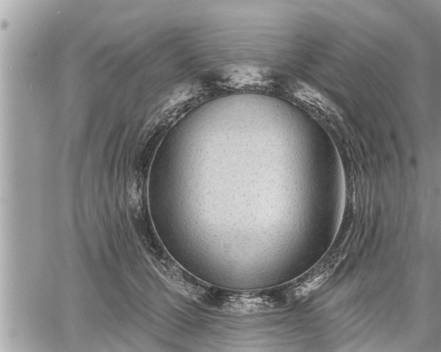 X0000060740607200511171059