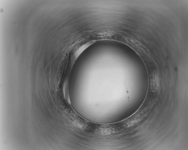 X0000060740608200511171059