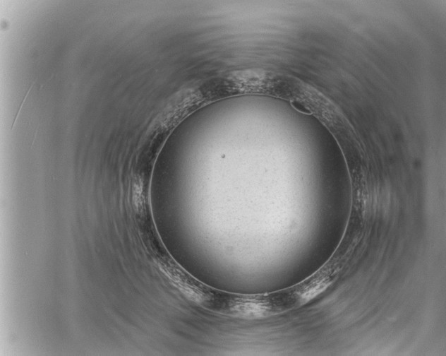 X0000060740610200511171059