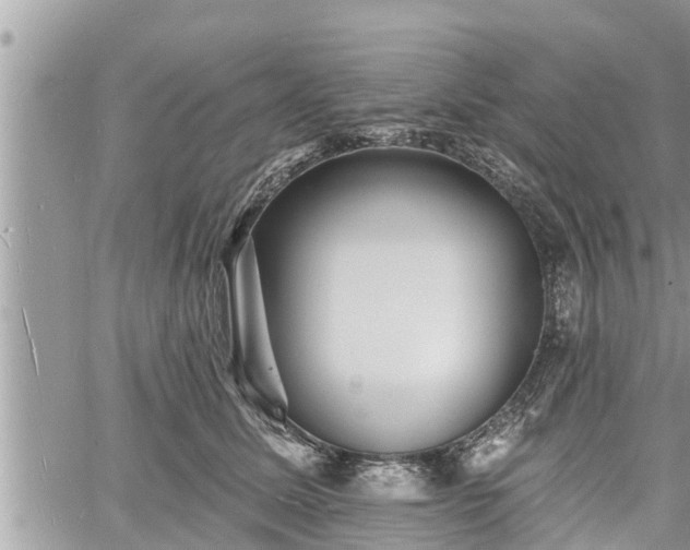 X0000060740611200511171059