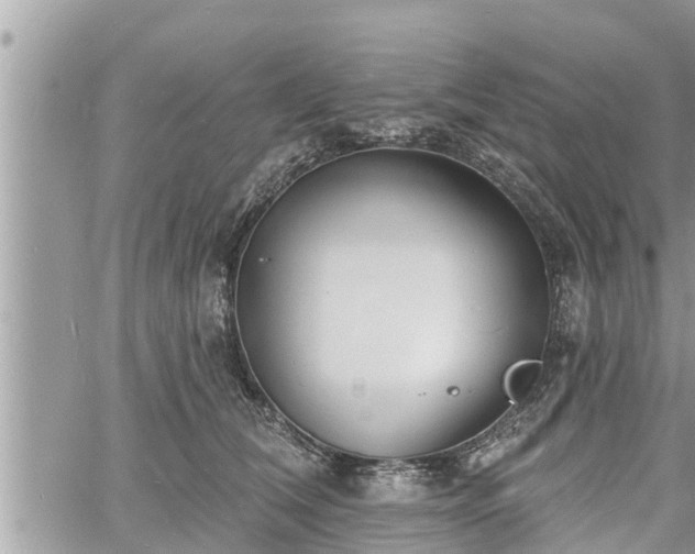 X0000060740612200511171059